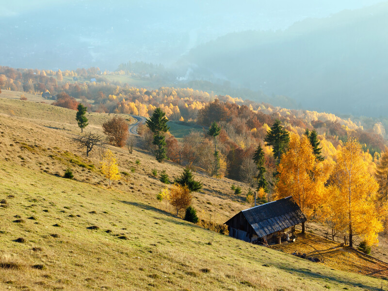 Zakarpattia communities requested Belgian MFA clarifications on the Ambassador’s position on "Svydovets" resort